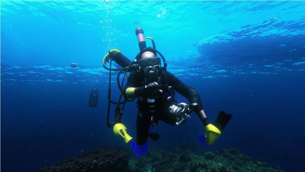 Manta ray encounter